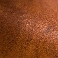 The Frye Company Campus Stitching Horse Women