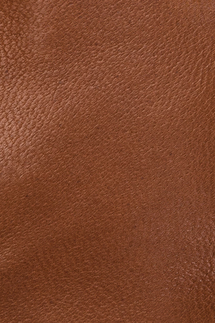 The Frye Company Julia Bootie Women 7 The Frye Company Julia Bootie Women