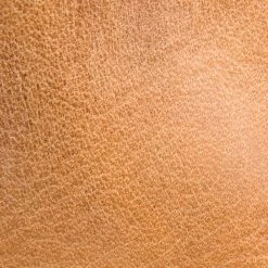 The Frye Company Paige Tall Riding Women