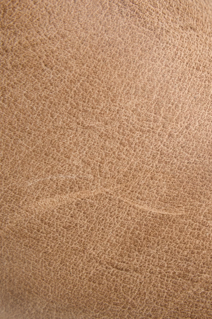 The Frye Company Paige Tall Riding Women 5 The Frye Company Paige Tall Riding Women