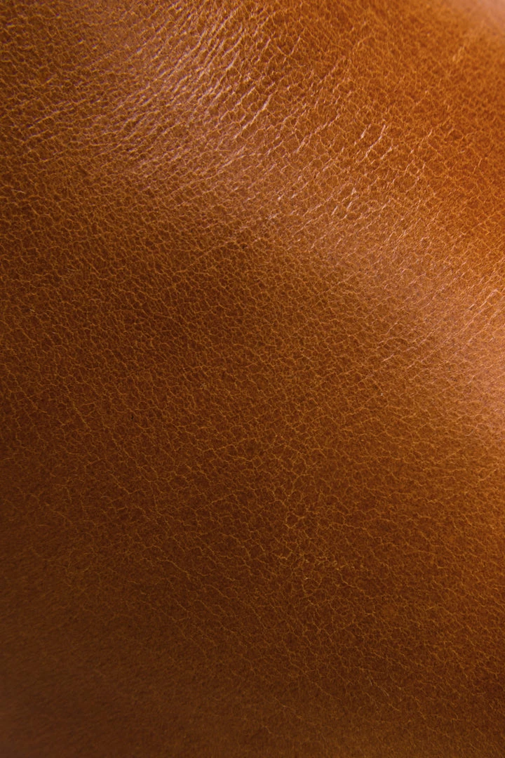 The Frye Company Dorado Riding 5 The Frye Company Dorado Riding