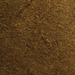 The Frye Company Sabrina 6G Lace Up