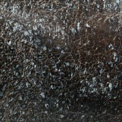 The Frye Company SHOES Deborah Studded Tall