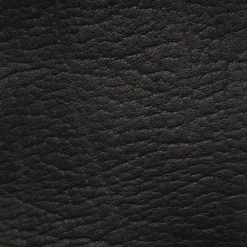 The Frye Company Women Tabitha Harness Short