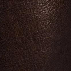 The Frye Company Women Tabitha Harness Tall