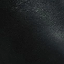 The Frye Company Women Sacha Moto Shortie