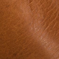 The Frye Company Women Sacha Moto Shortie