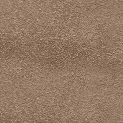 The Frye Company Ellen Buckle Monk