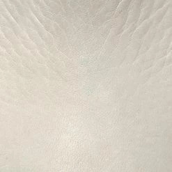 The Frye Company Ellen Buckle Short 13 The Frye Company Ellen Buckle Short