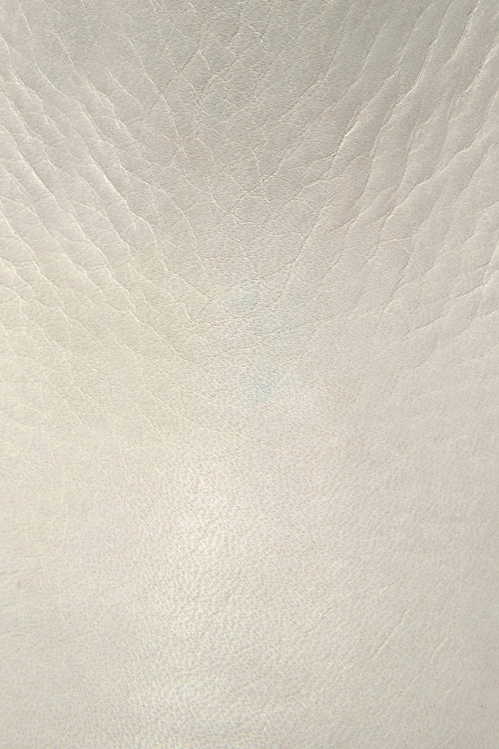 The Frye Company Ellen Buckle Short 7 The Frye Company Ellen Buckle Short