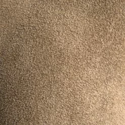 The Frye Company Women Shane Tip Short 13 The Frye Company Women Shane Tip Short