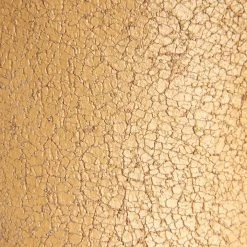 The Frye Company Billy Short Women 13 The Frye Company Billy Short Women