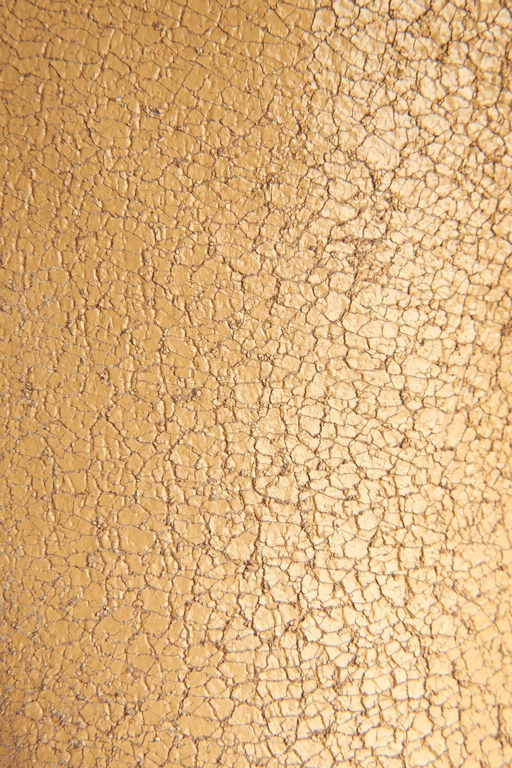 The Frye Company Billy Short Women 7 The Frye Company Billy Short Women