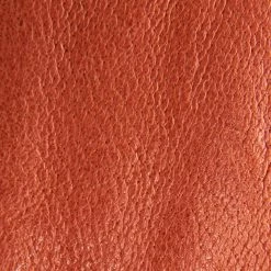 The Frye Company Maya Low Lace Women