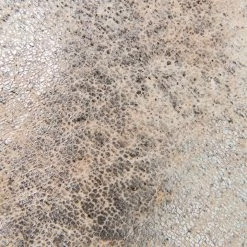 The Frye Company Women Sienna Ballet