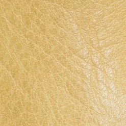 The Frye Company Carson Belted Bootie SHOES