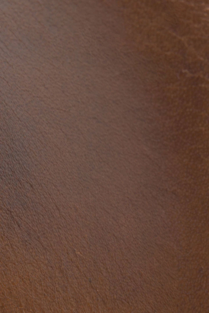 The Frye Company Carson Belted Bootie SHOES 8 The Frye Company Carson Belted Bootie SHOES