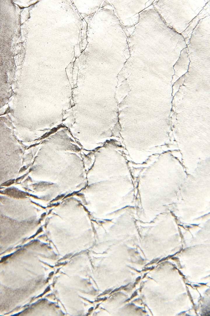 The Frye Company Cindy Buckle Sandal 7 The Frye Company Cindy Buckle Sandal