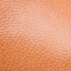 The Frye Company Women Regina Ballet 13 The Frye Company Women Regina Ballet