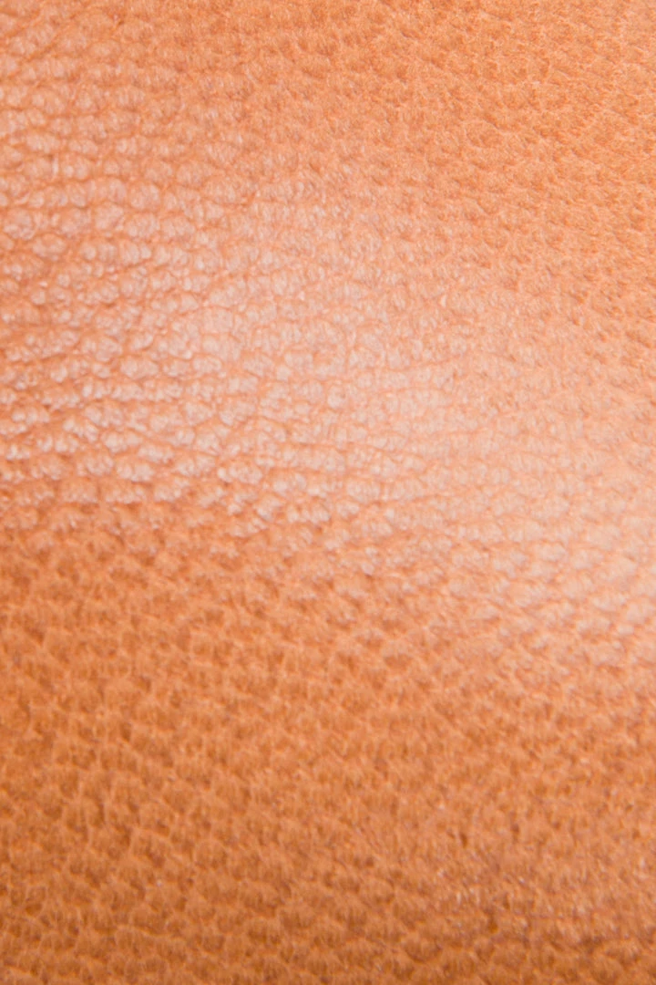 The Frye Company Women Regina Ballet 7 The Frye Company Women Regina Ballet