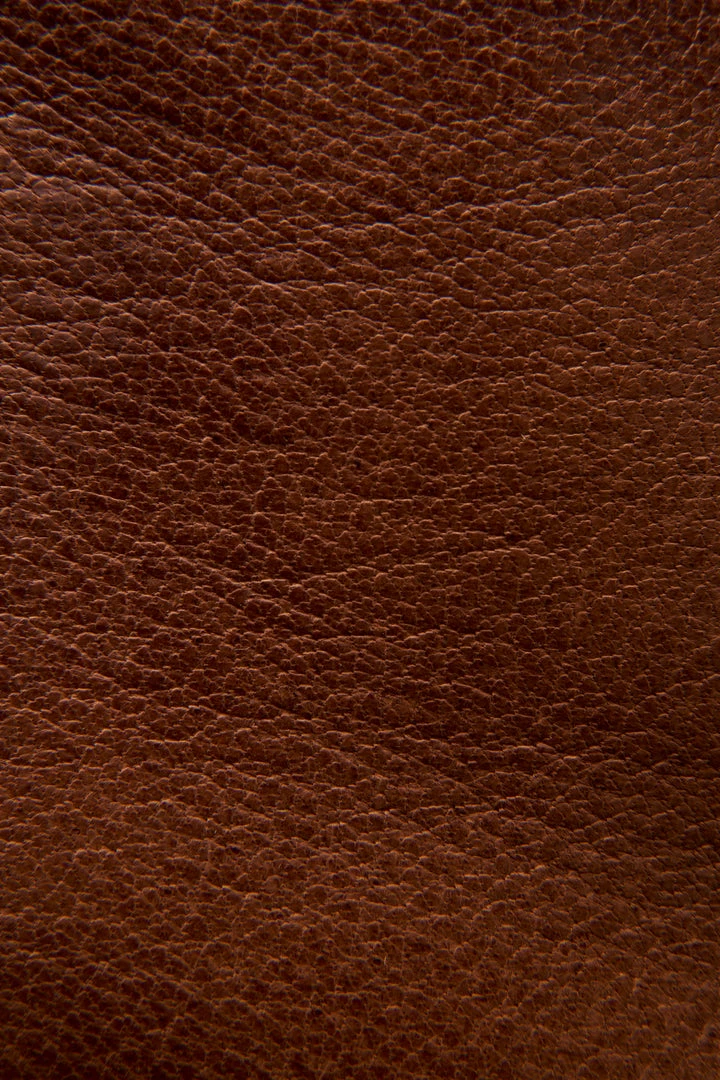 The Frye Company Women Nora Omaha Short 7 The Frye Company Women Nora Omaha Short