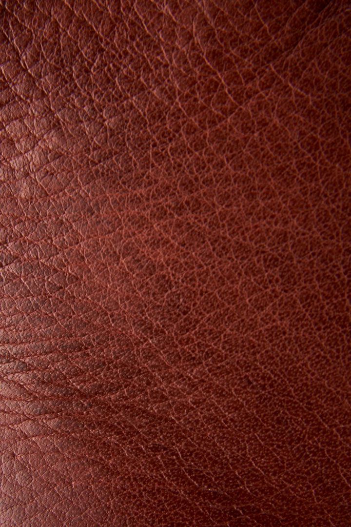 The Frye Company Nora Zip Short 7 The Frye Company Nora Zip Short