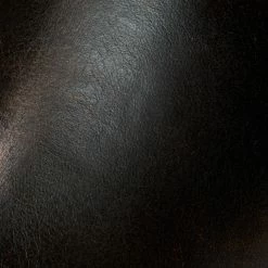 The Frye Company Paul Inside Zip SHOES