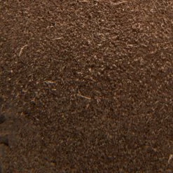 The Frye Company Bowery Chukka