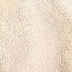 The Frye Company Paul Lace Up 13 The Frye Company Paul Lace Up