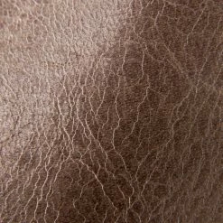 The Frye Company Men Walker Low