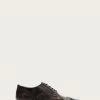 The Frye Company SHOES Paul Wingtip