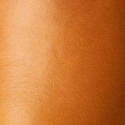 The Frye Company Astor Slip On Men