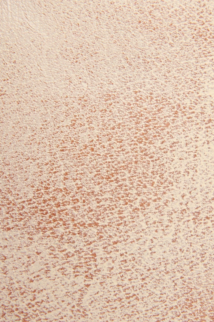 The Frye Company Astor Perf Low Lace 5 The Frye Company Astor Perf Low Lace