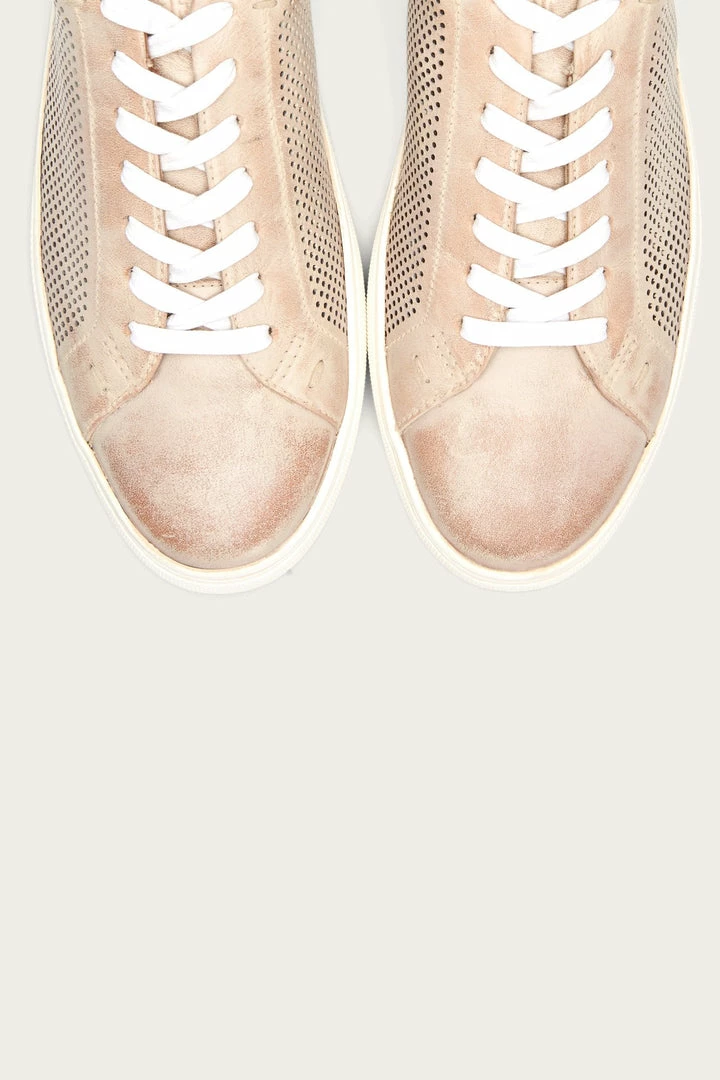 The Frye Company Astor Perf Low Lace 8 The Frye Company Astor Perf Low Lace