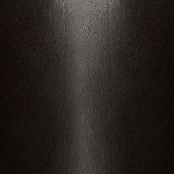 The Frye Company Weston Harness Men