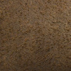 The Frye Company Roland Lace Up