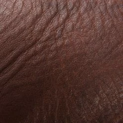 The Frye Company Campus 14L SHOES