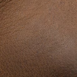 The Frye Company Phillip Crepe Chukka